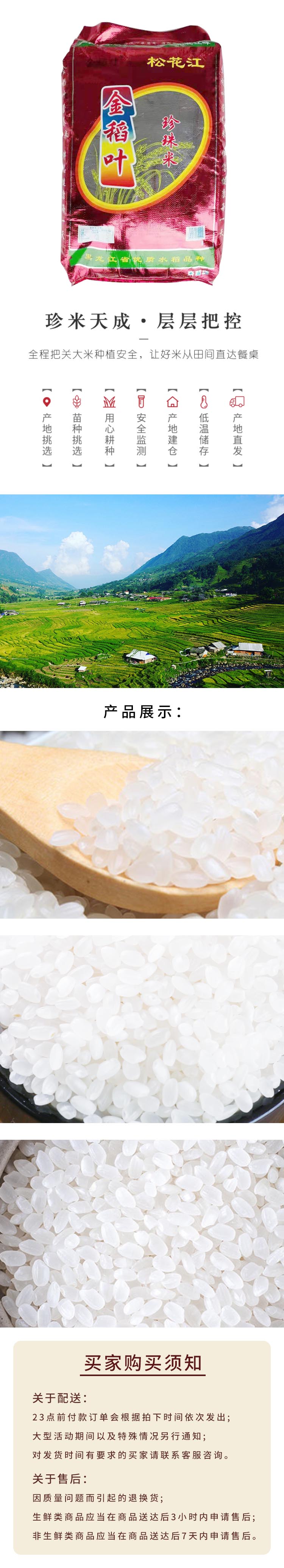 金稻叶松花江珍珠米.jpg
